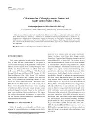 Chlorococcales (Chlorophyceae) of Eastern and North ... - Algae