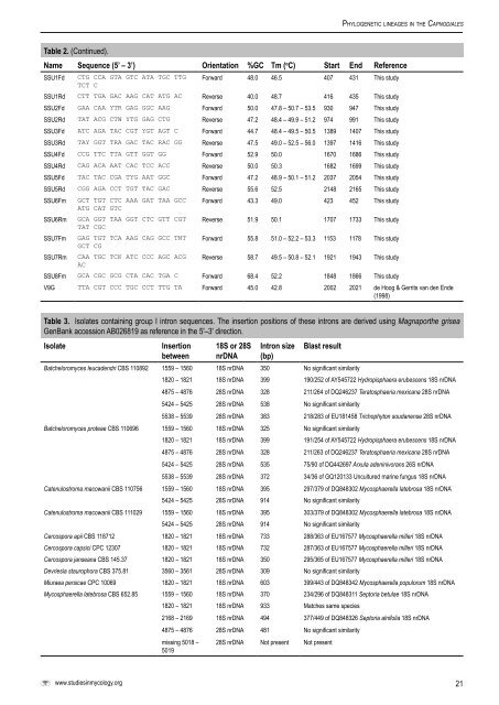 Phylogenetic lineages in the Capnodiales - Cbs - KNAW