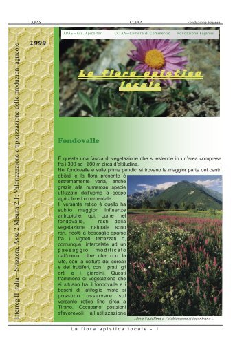 La flora apistica locale - Associazione Produttori Apistici Sondrio
