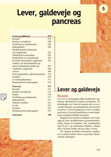 Lever, galdeveje og pancreas