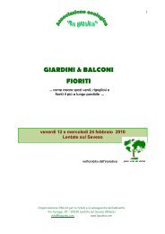 Giardini e balconi fioriti - la Puska