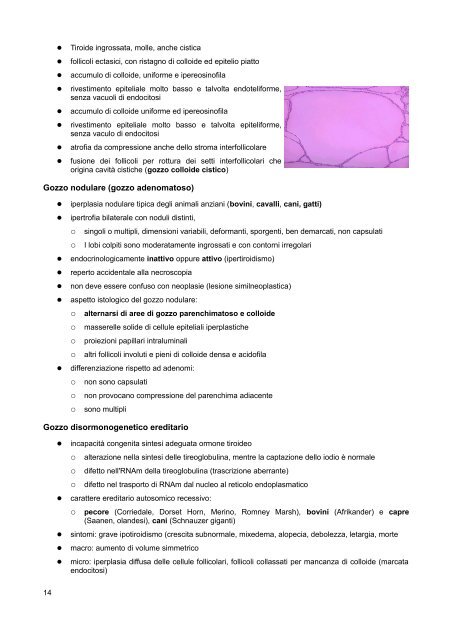 SISTEMA ENDOCRINO