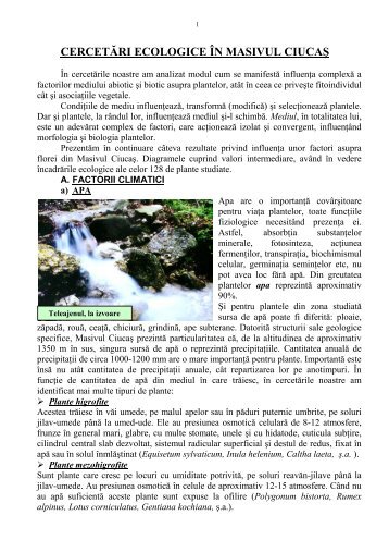CERCETĂRI ECOLOGICE ÎN MASIVUL CIUCAŞ - Didactic