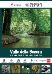 Guida alla Valle della Bevera [23.099 KB] - Varese Città Giardino