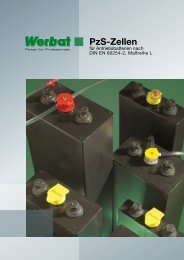 PzS-Zellen - Werbat.de