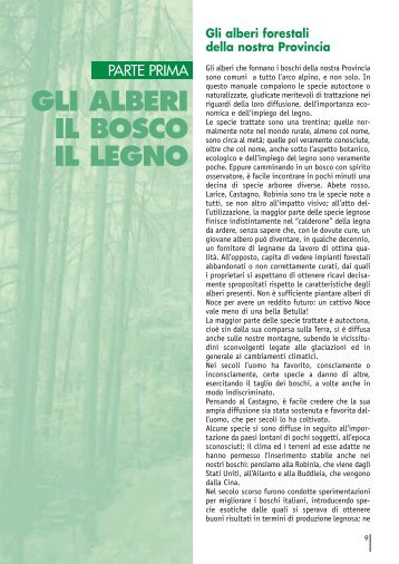 gli alberi il bosco il legno - Comunità Montana Valtellina di Sondrio