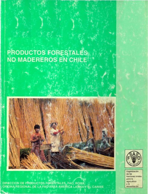 Productos Forestales No Madereros En Chile