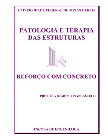 PATOLOGIA E TERAPIA DAS ESTRUTURAS - DEMC - UFMG