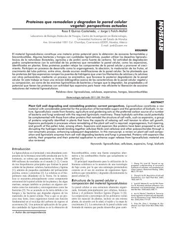 Texto Completo(PDF-310 KB)