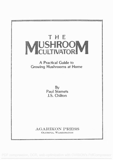 Mycology Identification Chart