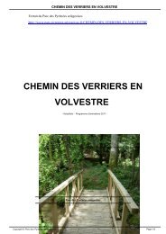 CHEMIN DES VERRIERS EN VOLVESTRE - Parc naturel régional ...