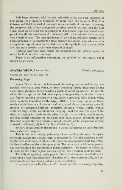 View A43-1112-1979-eng.pdf