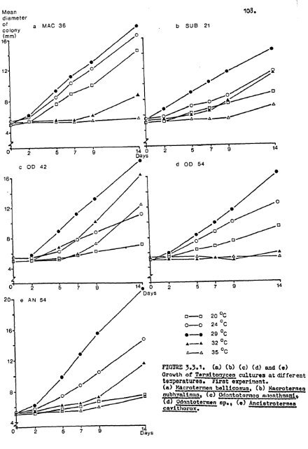 ECOLOGICAL STUDIES ON TILE SYMBIOSIS OF TER ITOMYCES ...