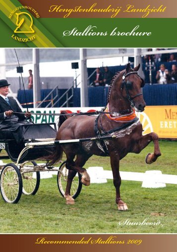 Stallions brochure - Hengstenhouderij Landzicht