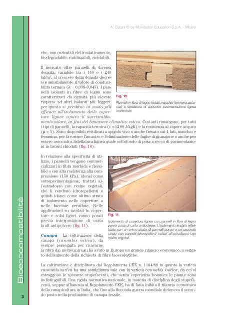 gli isolanti vegetali 1 - Pianeta Scuola Gallery - Mondadori Education