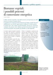 Biomasse vegetali: i possibili processi di conversione energetica