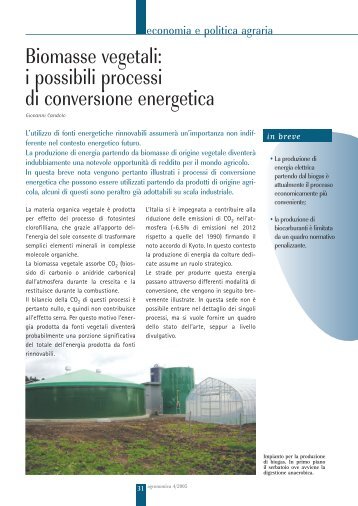 Biomasse vegetali: i possibili processi di conversione energetica