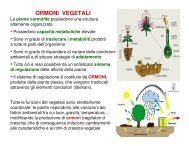 10 Ormoni vegetali.pdf