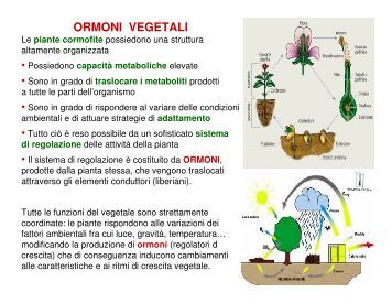 Recettori ormoni steroidei e tiroidei