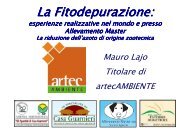 La Fitodepurazione: - Provincia di Mantova