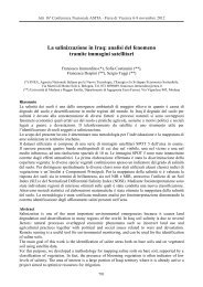 La salinizzazione in Iraq: analisi del fenomeno tramite ... - Atti Asita