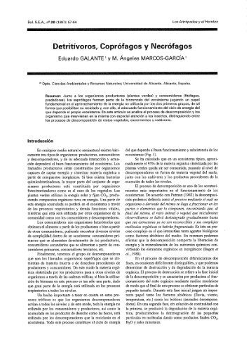 Detritívoros, Coprófagos y Necrófagos