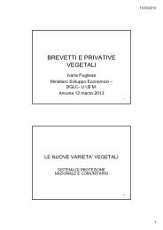 BREVETTI E PRIVATIVE VEGETALI