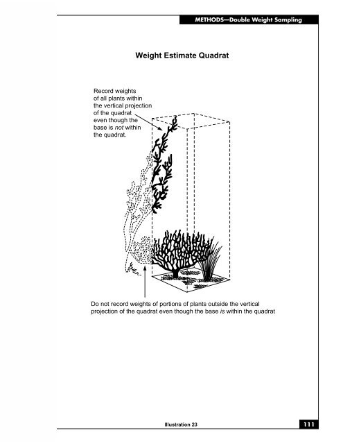 SAMPLING VEGETATION ATTRIBUTES - New Mexico NRCS - US ...