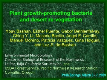 Plant growth-promoting bacteria and desert re-vegetation