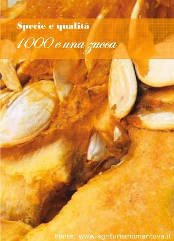 1000 e una zucca - Provincia di Mantova