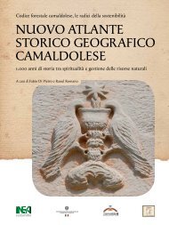 Nuovo AtlANte Storico GeoGrAfico cAmAldoleSe - Inea