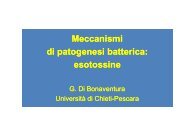 tossine batteriche.pdf - Ch.unich.it
