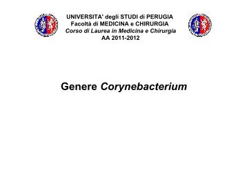 13.genere corynebacterium - Facoltà di Medicina e Chirurgia