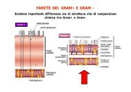 3ParetePt2SE09