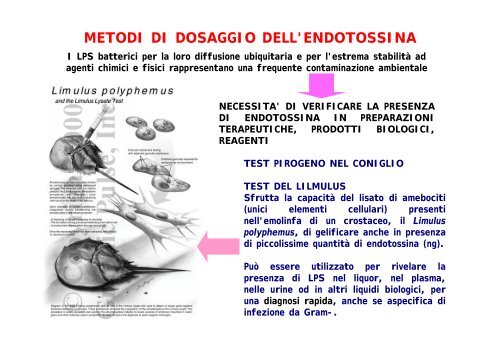 3ParetePt2SE09