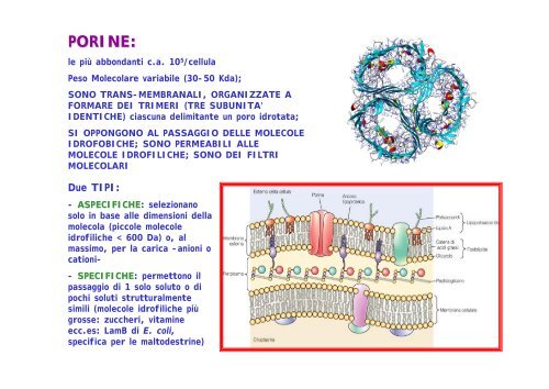 3ParetePt2SE09