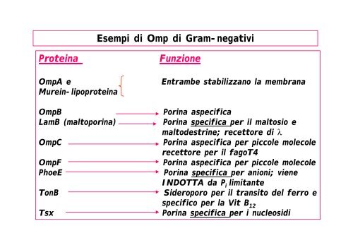 3ParetePt2SE09