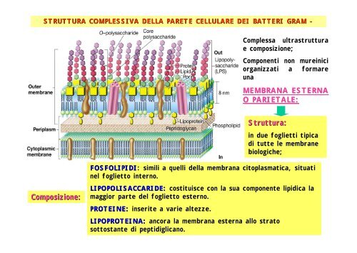 3ParetePt2SE09