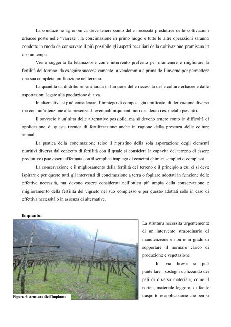 Il Vigneto Storico di Avio - Trentino Wine Blog