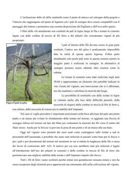 Il Vigneto Storico di Avio - Trentino Wine Blog