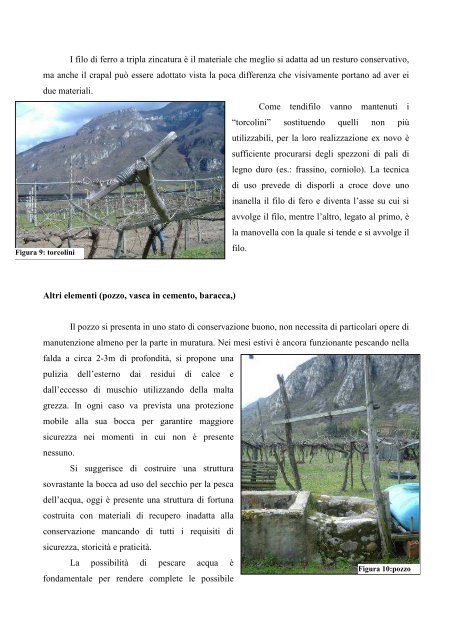 Il Vigneto Storico di Avio - Trentino Wine Blog