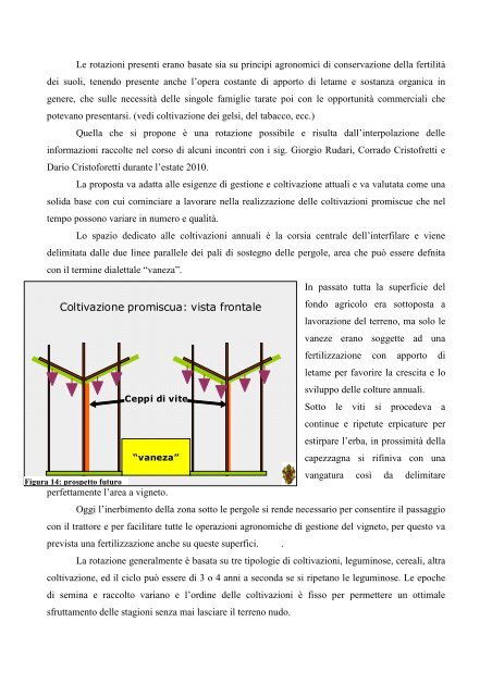 Il Vigneto Storico di Avio - Trentino Wine Blog