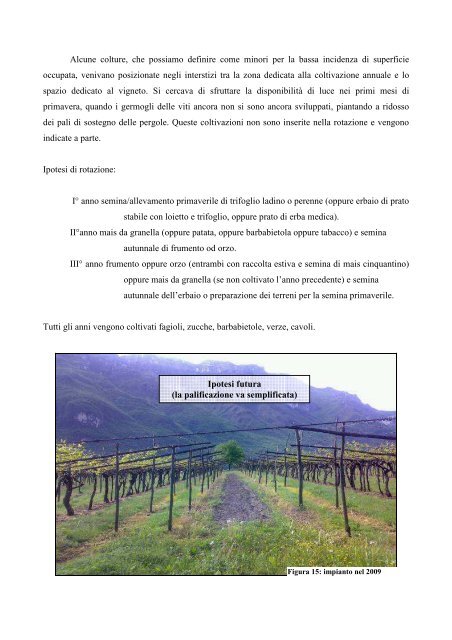 Il Vigneto Storico di Avio - Trentino Wine Blog