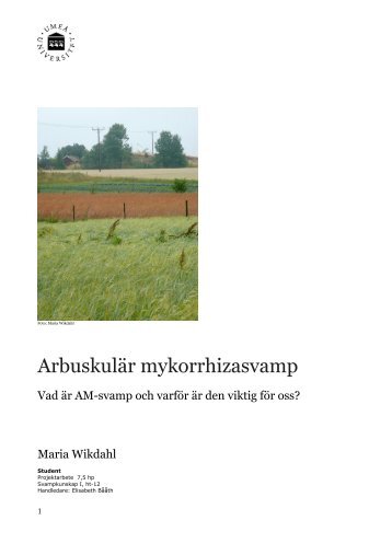 Vad är AM-svamp och varför är den viktig för oss? (pdf)