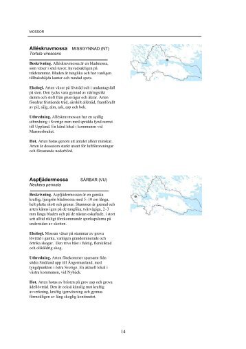 Mossor och svampar - Norrköpings kommun