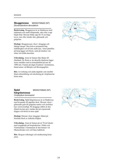 Mossor och svampar - Norrköpings kommun