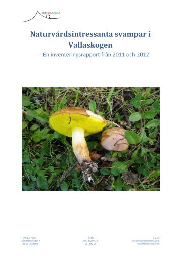 Svampar i Vallaskogen 2011 - Linköpings kommun
