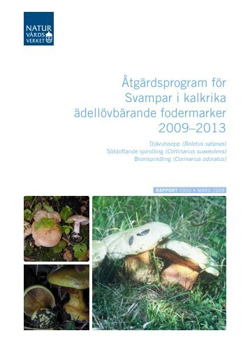 Åtgärdsprogram för svampar i kalkrika ... - Naturvårdsverket