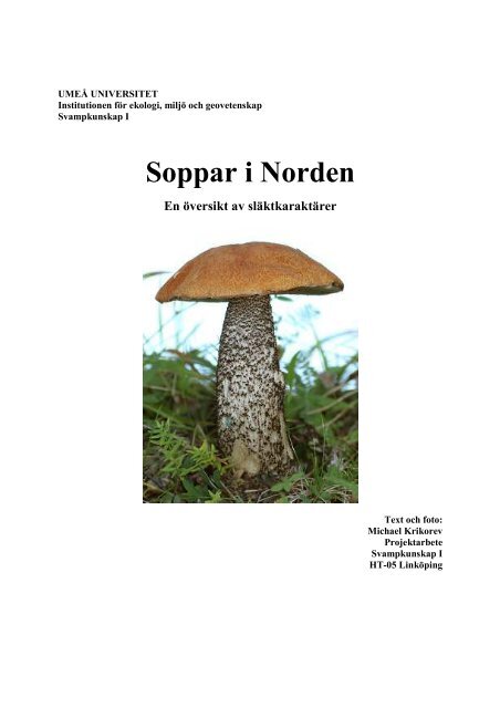 Soppar i Norden - Svampguiden