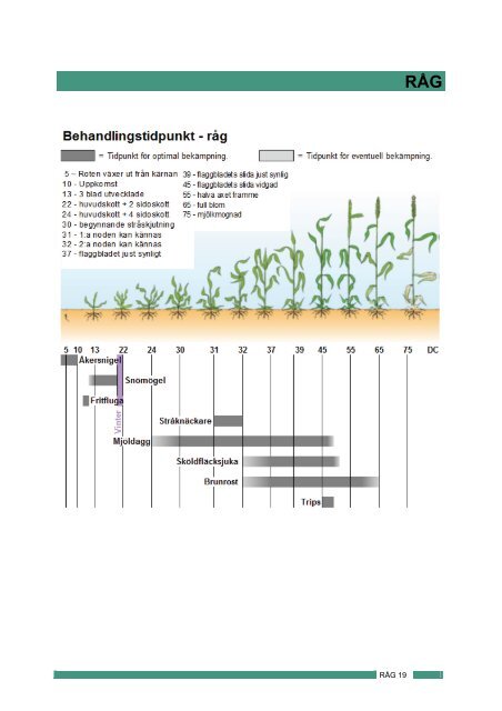 Svampar och insekter 2013 - bild - Jordbruksverket